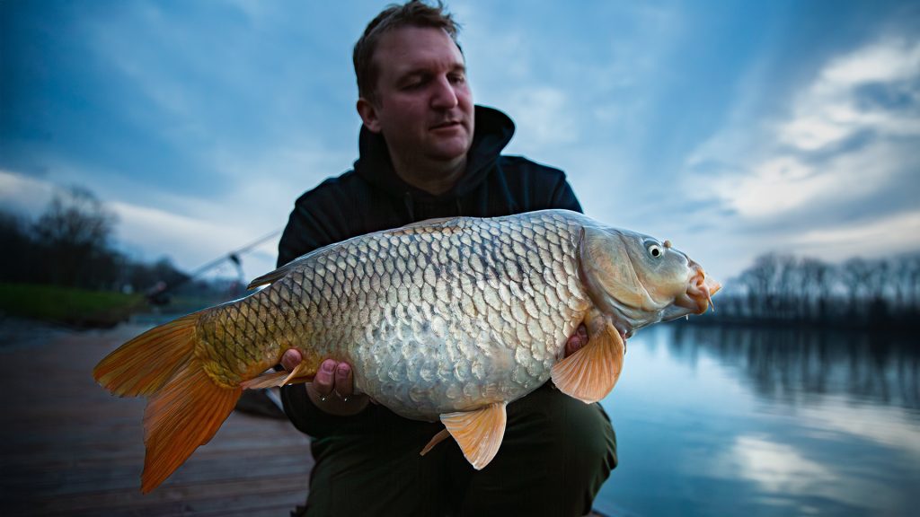 wallerwelt2 karpfenangeln